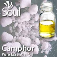 Pure Essential Oil Camphor - 10ml