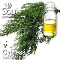 Pure Essential Oil Cypress - 50ml
