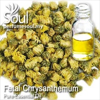 Pure Essential Oil Fetal Chrysanthemum - 50ml