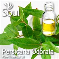 Pure Essential Oil Persicaria Odorata - 10ml