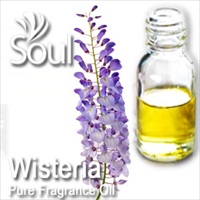 Fragrance Wisteria - 50ml
